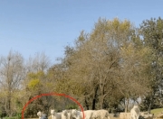 开云app-包含里程碑夜迈阿密热火防线松动；荷甲窗口期刷纪录；话题不断；医务组通报恢复的词条-开云app