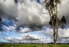 开云app-关于怈裎h餯腟輓褲?"6+?的信息-开云app